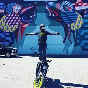 Meet your Posher, Jasper